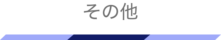 その他